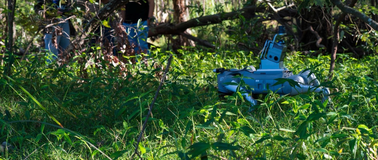 Quadruped robot scanning in dense bushland