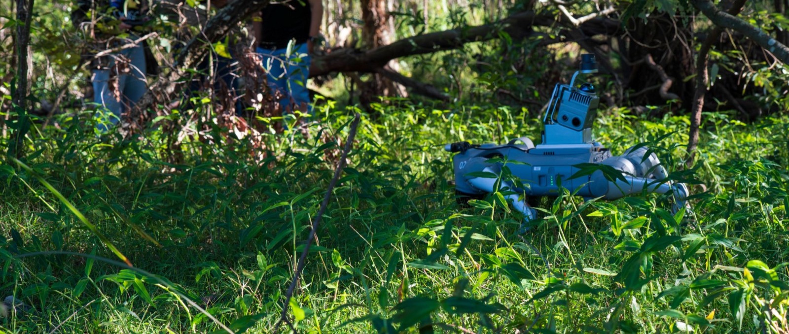 Quadruped scanner navigating dense grass